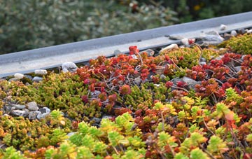 the cost of Martley green roof installation