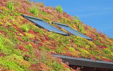Martley living roof systems